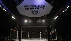 UFC 302: A Showcase of Mixed Martial Arts Talent