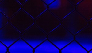 The Sean Strickland Dilemma: Freedom of Speech in the Octagon